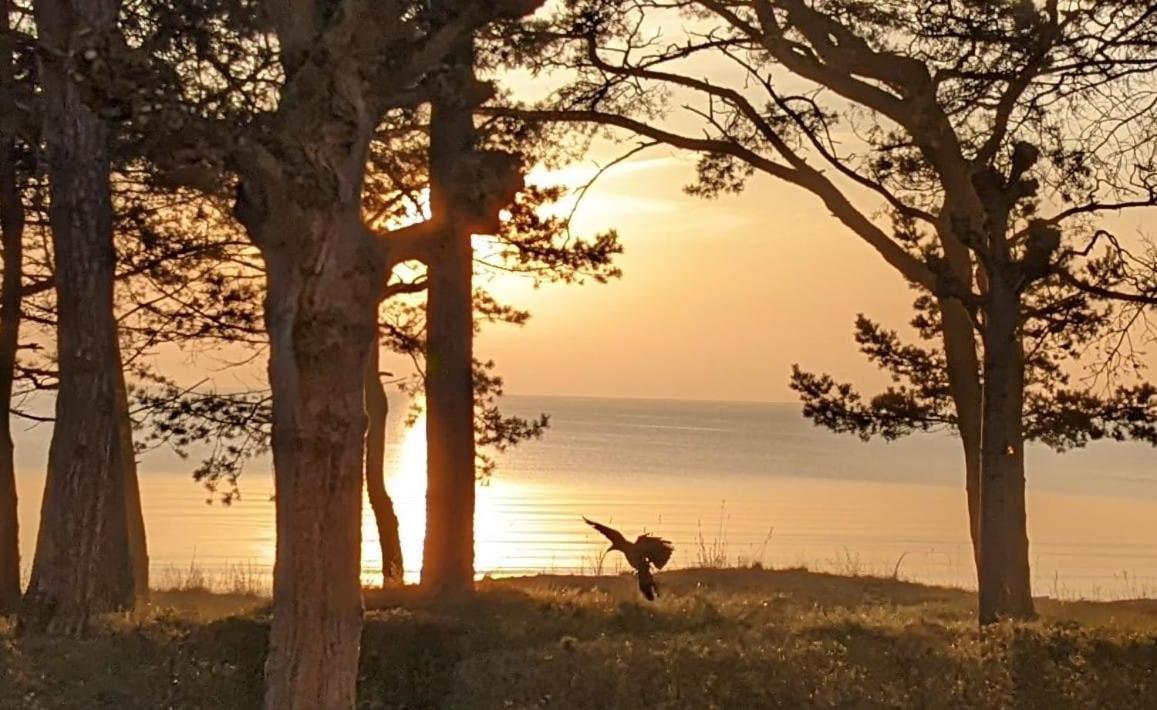 Villa Gudrun By Unsere Urlaubszeit Binz Buitenkant foto